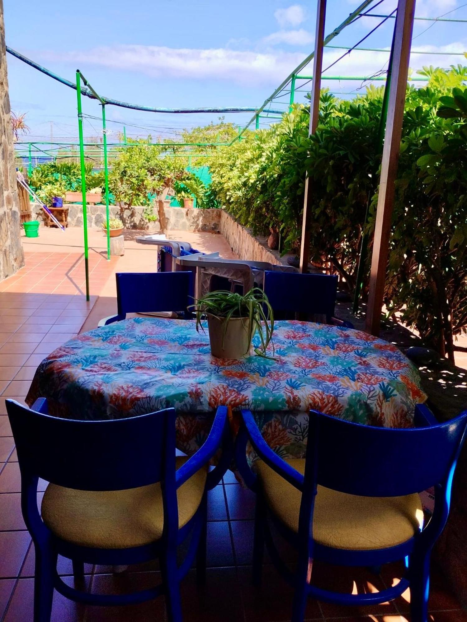 Apartamentos Buen Leon Playa de Tasarte エクステリア 写真