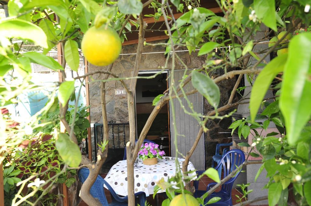 Apartamentos Buen Leon Playa de Tasarte エクステリア 写真